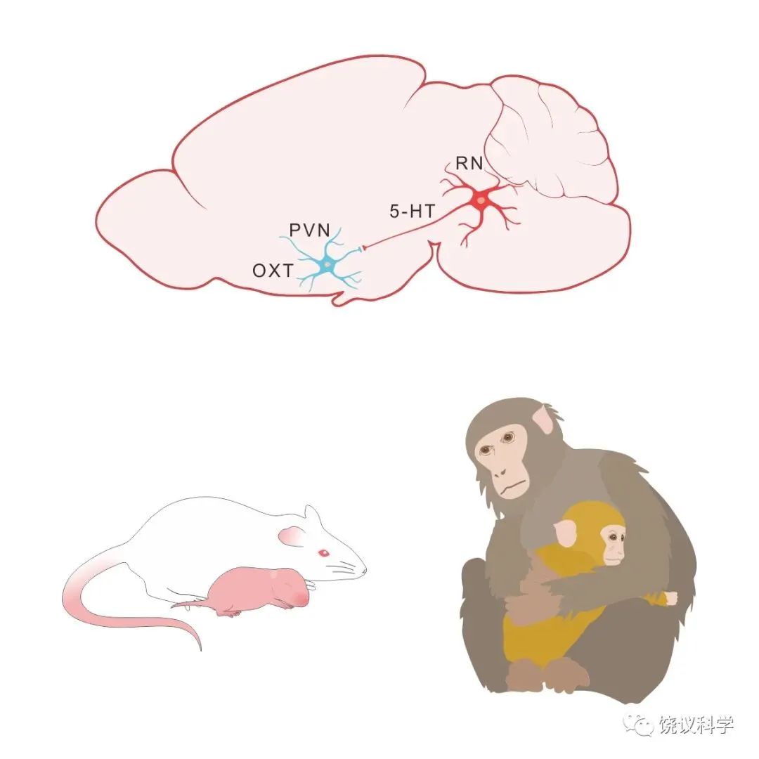 202303091559.jpg 微信图片_20230309101452.jpg
